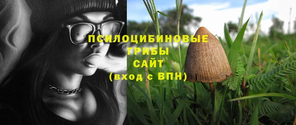 PSILOCYBIN Инсар