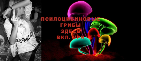 амф Инта