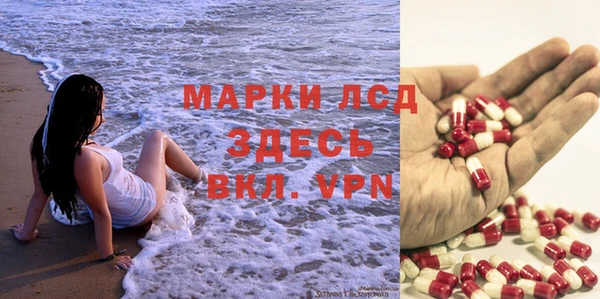 PSILOCYBIN Инсар