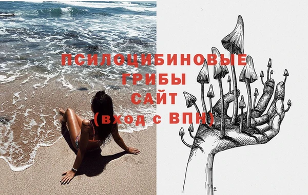 амф Инта