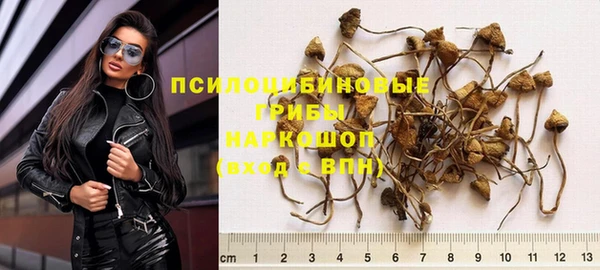 mdpv Иннополис