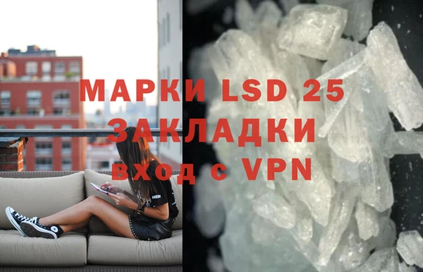 PSILOCYBIN Инсар
