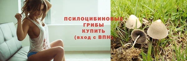 mdpv Иннополис