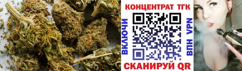 Купить закладки  Петровск  ТГК вейп 