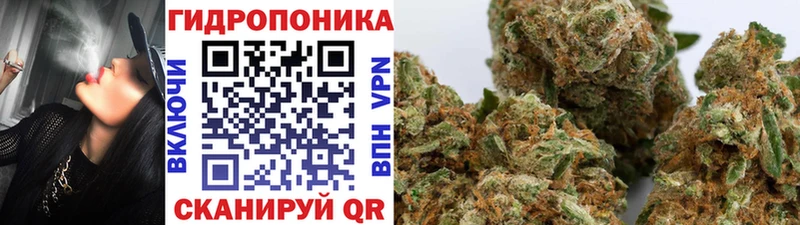 Бошки Шишки Amnesia Петровск